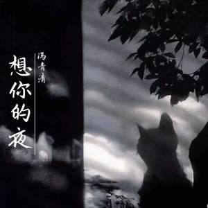 想你的夜 (释怀版)