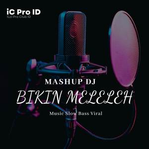 DJ Mashup Bikin Meleleh Pupuler Music Slow Bass (Remix)