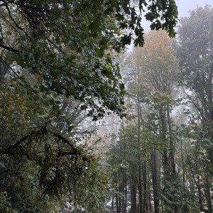 Life's a Clock and It Won't Rewind