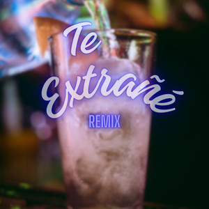 Te Extrañé (Remix) [Explicit]