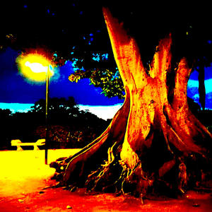 Giardino segreto (SYSK|remix)