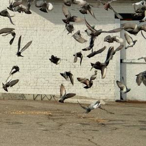 Dissolving Relics (feat. Yohei & Ross Garren)