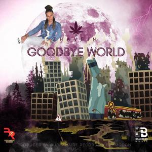 Goodbye World
