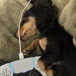 wtv this is (feat. notlooney)