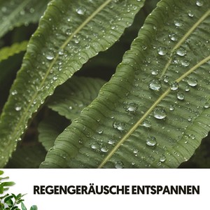 Regen-Spa-Klänge: Seelenvolle Kraft des Wassers