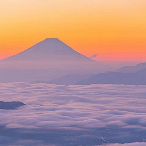 黄金蝶 - 黑暗中信仰