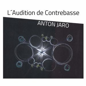 L´Audition de Contrebasse