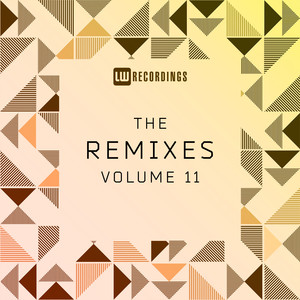Looks Like I'm In Love Again (Elektrik Disko Remix)