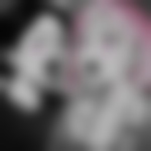 Comic Con (Explicit)