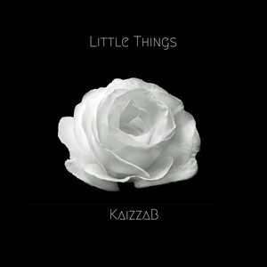 Little Things (Radio Edit)