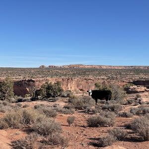 Moab 3