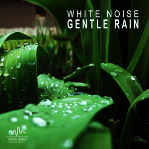 White Noise: Gentle Rain, Pt. 03