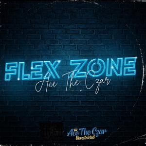 Flex Zone (Radio Edit) [Explicit]