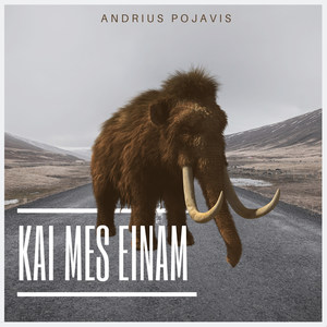 Kai Mes Einam