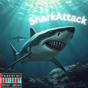 Shark attack (feat. Doubl0 & RYN Paid) (Explicit)