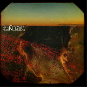 Señorita (feat. David $iLK) (Explicit)