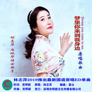 梦里你来到我身边