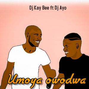 Umoya Owodwa(feat. DJ Ayo)