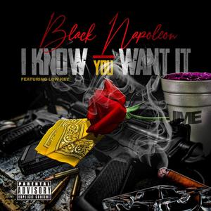 I Know You Want It (Explicit)