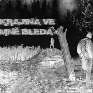 KRAJINA VE MNĚ BLEDÁ (feat. Shame) [Explicit]