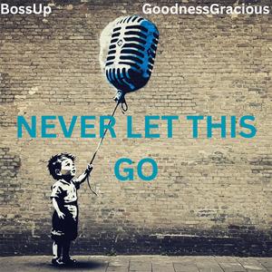 Never Let This Go (feat. GoodnessGracious)