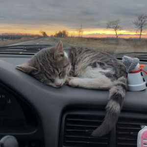 MELANCHOLY (speed up)