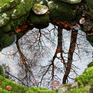 我的快乐 (回忆版)