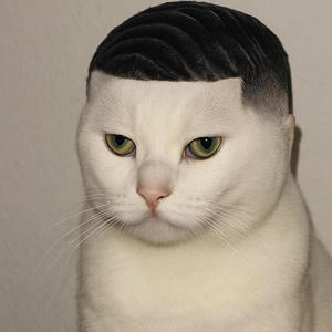 BUCK (feat. GUCCIGARETTE) (Explicit)