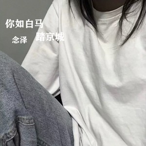 你如白马踏京城