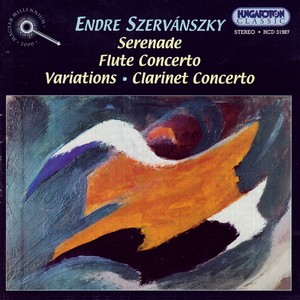 Flute Concerto - Flute Concerto: I. Allegro ma non troppo