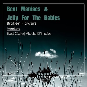 Broken Flowers (Vlada D'Shake Traveller Mix)