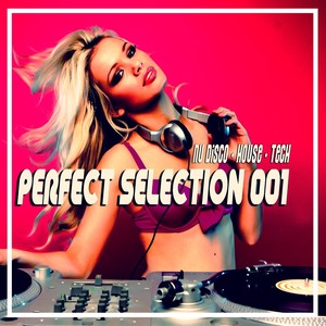 Perfect Selection, Vol. 1