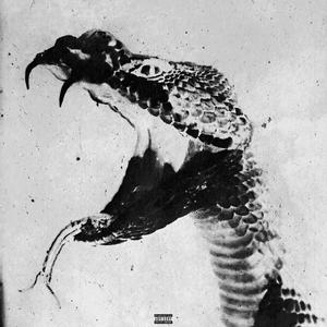 SNAKES IN THE GRASS (feat. SEMTEXXX, 5'4, Craig Scissorhands & Buckx2) (Explicit)