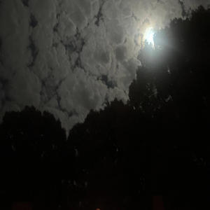 Living wrong (Explicit)