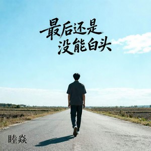 最后还是没能白头