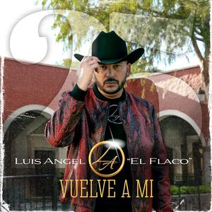Vuelve a Mí