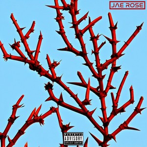 What's Next (Explicit)