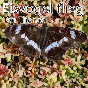 Eisvogel flieg