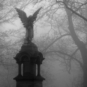 ashes (feat. rynnnsae & sorrowbringer) (Explicit)