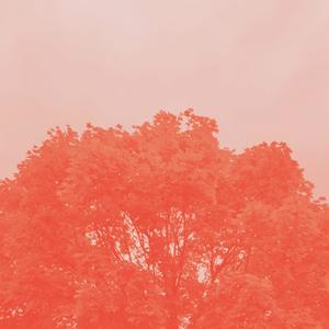 Let me go (Explicit)