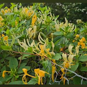 Just Doin' Me (Explicit)