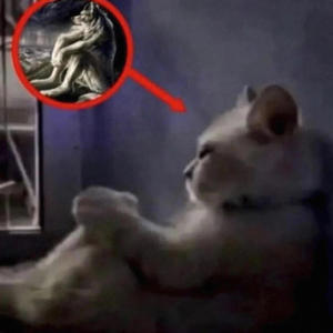 Sabor Mermelada (feat. tempered $ide & Happy arath) (Explicit)