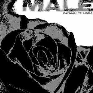 MALE (feat. LINDA) [Explicit]