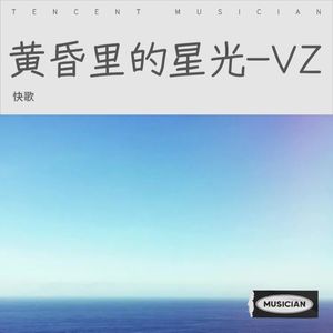 黄昏里的星光-VZ