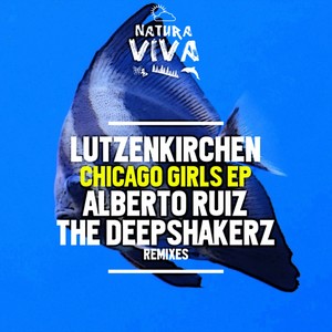 A Bird Called Stroke (Original Mix)