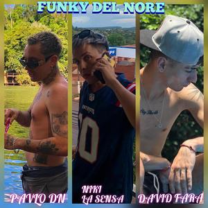 Funky del Nore (feat. Pavlo D.N & Niki la Sensa)