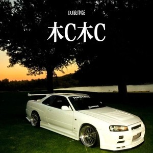 木C木C (DJ旋律版)