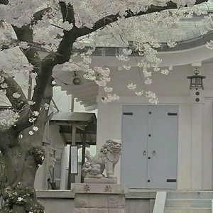 dead wrong (Explicit)