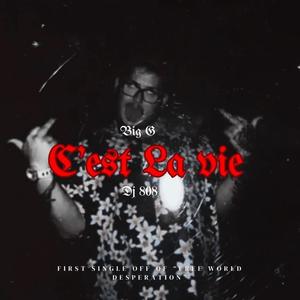 C'est La Vie (feat. Big G) (Explicit)