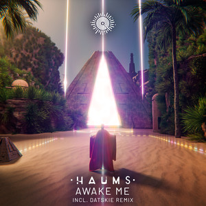 Awake Me (Datskie Remix)